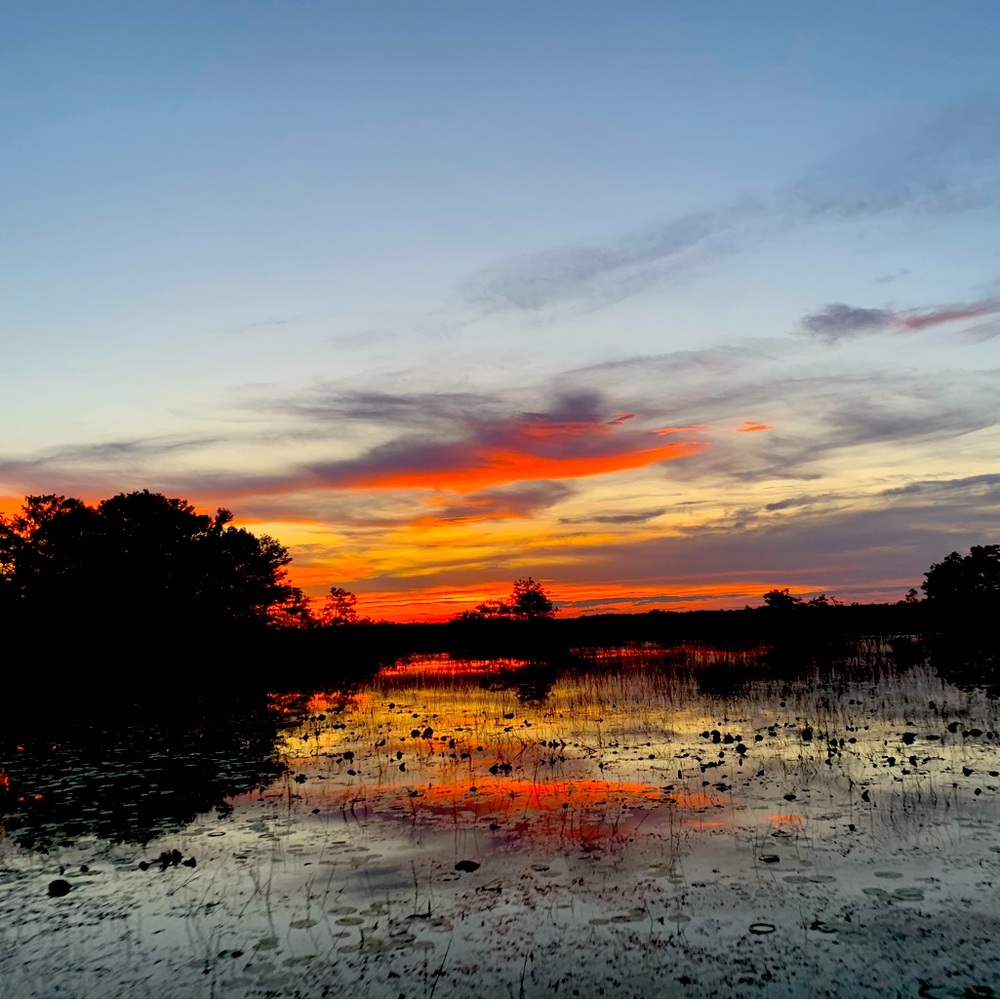 Meet your Posher, Becky